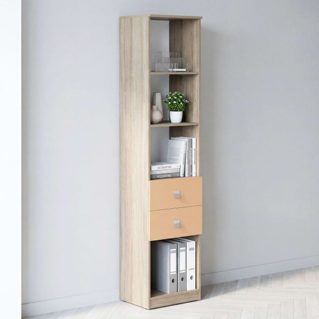 Biblioraft LINEA 45, 2 sertare