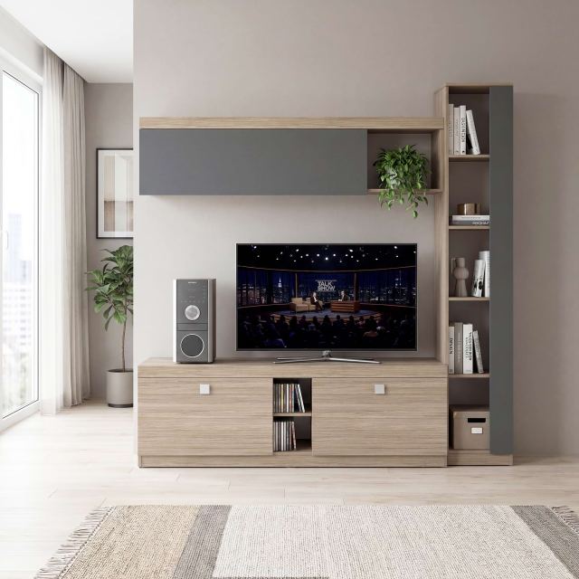 Mobila living LINEA 195