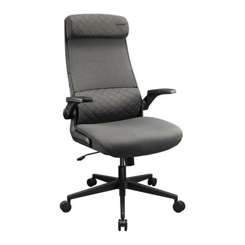 Scaun Ergonomic de Gaming COUGAR Stryder, Max 120 kg, Tetiere reglabila larga, Spuma (Gri)