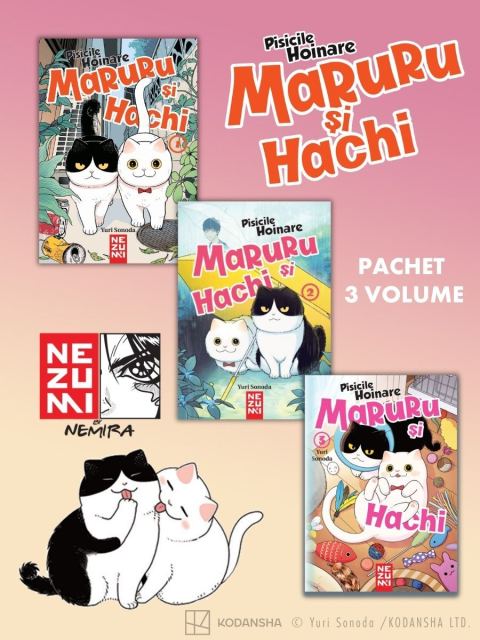 Pachet Maruru și Hachi - pisicile hoinare 3 vol.