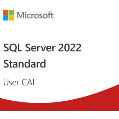 Microsoft Licenta Software Microsoft SQL Server 2022 - 1 User CAL, 1 utilizator, CAL
