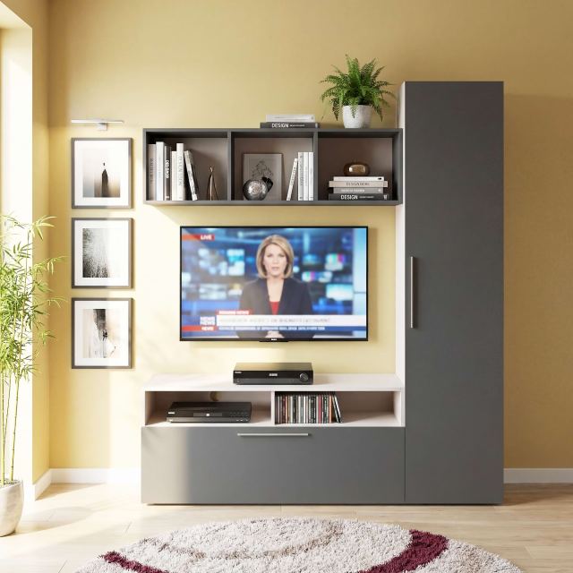 Living TV ARONA 165